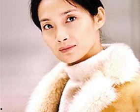 李婷进个人资料,才华横溢的青年才俊，职场精英的崛起之路